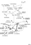 Diagram FRONT DOOR WINDOW REGULATOR & HINGE for your TOYOTA SOLARA