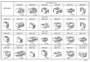 WIRING & CLAMP Diagram