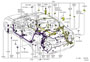 Diagram WIRING & CLAMP for your TOYOTA SOLARA
