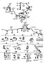 Diagram BRAKE TUBE & CLAMP for your TOYOTA LAND CRUISER