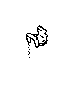 View 4771630130 Disc Brake Anti-Rattle Clip (Front) Full-Sized Product Image