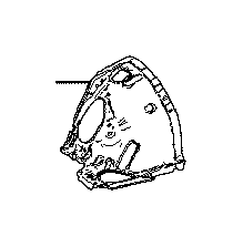 View 5371124050 Fender Apron (Right, Front) Full-Sized Product Image