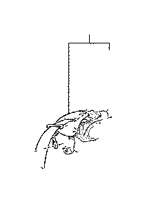 View 7336024120D1 Seat Belt Lap and Shoulder Belt (Right, Rear) Full-Sized Product Image