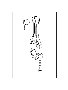 View 1330350072 Full-Sized Product Image