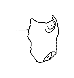 View Exhaust Manifold Heat Shield Full-Sized Product Image