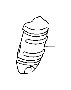 View Catalytic Converter Heat Shield Full-Sized Product Image