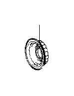 View RING Full-Sized Product Image