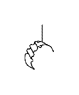 View 3571433010 Full-Sized Product Image