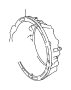 View 3511135110 Full-Sized Product Image
