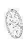 View Automatic Transmission Flexplate Full-Sized Product Image 1 of 3