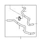 View Automatic Transmission Oil Cooler Hose Full-Sized Product Image