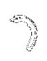 View Parking Brake Shoe (Left, Right) Full-Sized Product Image
