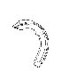 View Parking Brake Shoe (Left, Right) Full-Sized Product Image