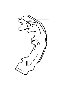 View Parking Brake Shoe (Right) Full-Sized Product Image