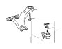 View Suspension Ball Joint (Right, Front, Lower) Full-Sized Product Image