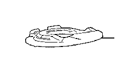 View INSULATOR,  FRONT COIL SPRING,  LOWER LEFT Full-Sized Product Image