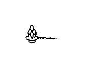 View CLIP Full-Sized Product Image