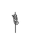 View Frame Side Member Reinforcement (Right, Front) Full-Sized Product Image