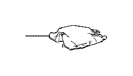View 5238311010 Full-Sized Product Image