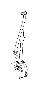 View 7321033480B0 Full-Sized Product Image
