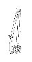 View 732300E050B0 Full-Sized Product Image