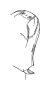 View 7155248210 Full-Sized Product Image