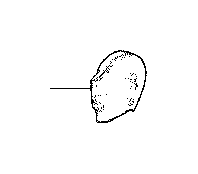 View SHIELD,  FRONT SEAT CUSHION,  INNER LEFT Full-Sized Product Image 1 of 5