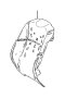 View 7155150490 Full-Sized Product Image