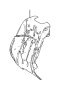 View 7155150330 Full-Sized Product Image