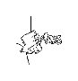 View 7703006020 Full-Sized Product Image