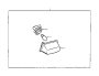 View License Plate Light Socket (Rear) Full-Sized Product Image