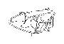 View UNIT ASSEMBLY,  HEADLAMP,  RIGHT Full-Sized Product Image