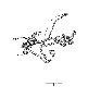 View 8219153182 Full-Sized Product Image