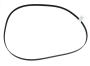 View Serpentine Belt Full-Sized Product Image 1 of 7