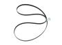 View Serpentine Belt Full-Sized Product Image