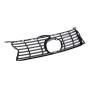 View Grille Full-Sized Product Image
