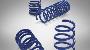 View F SPORT Lowering Springs. Performance Springs, Blue Full-Sized Product Image 1 of 2