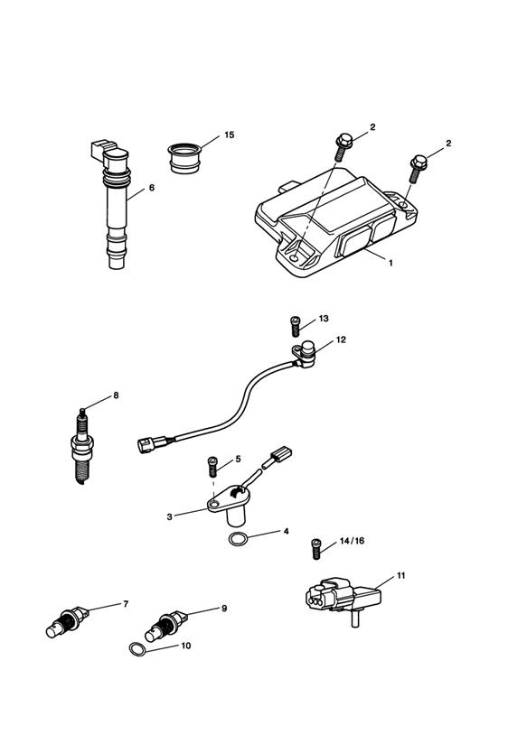 Diagram Engine Management System for your 2011 Triumph Speed Triple  141872 > 210444 