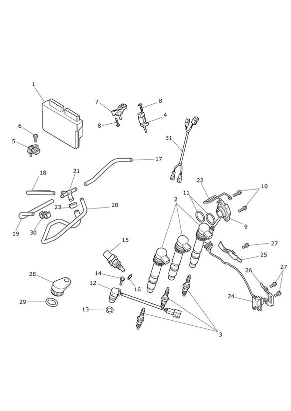 Diagram Engine Management System for your Triumph Tiger  