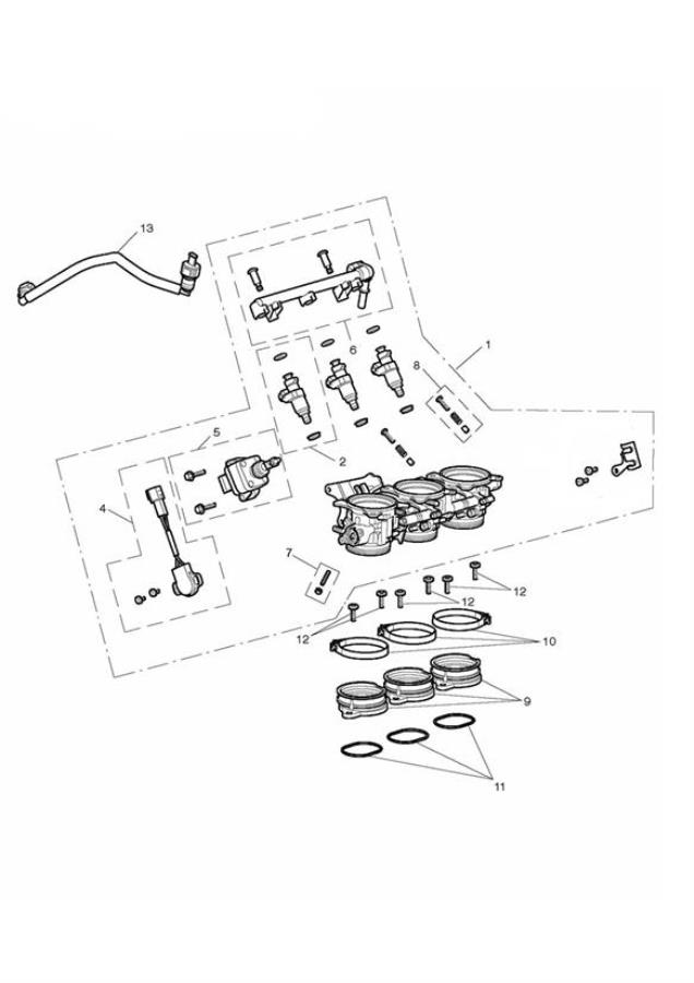 Diagram Throttles, Injectors and Fuel Rail for your 2016 Triumph Tiger 800  