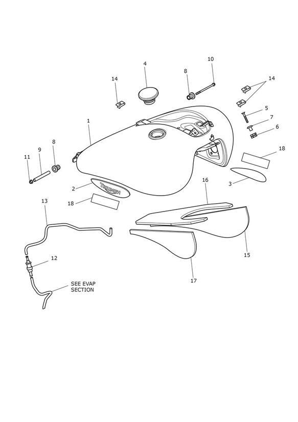 Diagram Fuel Tank & Fittings for your Triumph