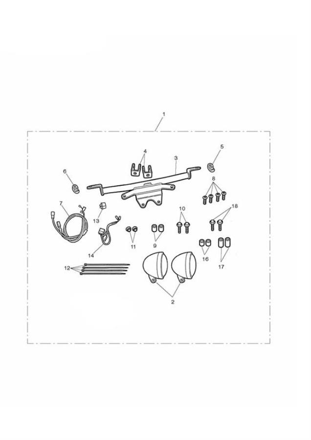 Diagram Auxiliary Lamps (US) for your 2006 Triumph Thruxton   