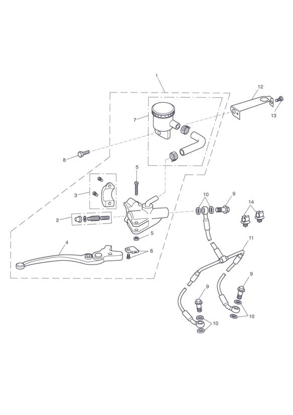 Diagram Front Brake Master Cylinder & Hoses for your Triumph