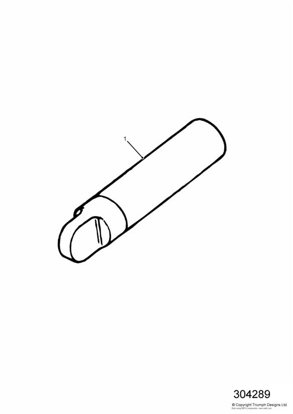 Diagram Touch-up Paint - All Expt CN for your 2022 Triumph Bonneville T100 EFI  