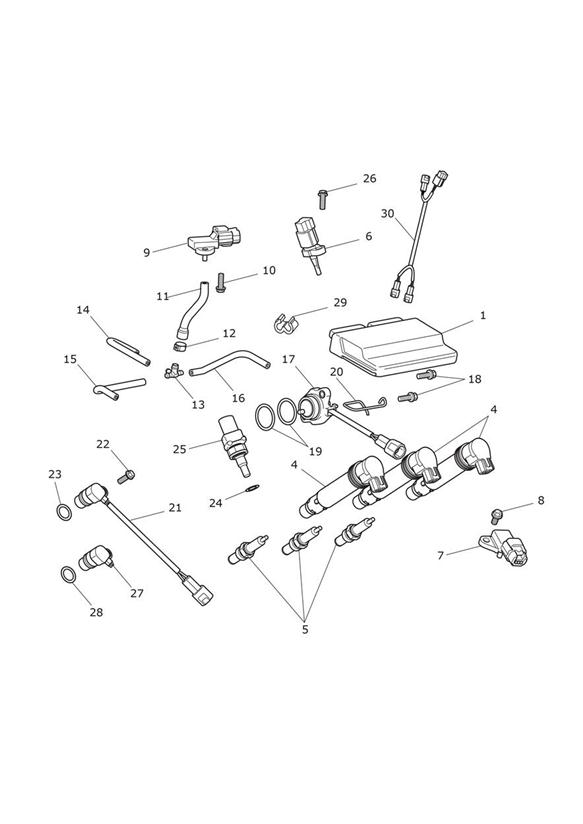 Diagram Engine Management System for your Triumph Bonneville Bobber  