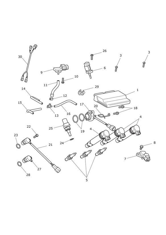 Diagram Engine Management System for your Triumph Bonneville Bobber  