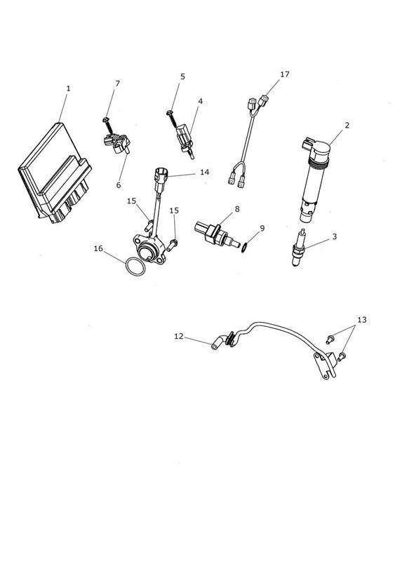 Diagram Engine Management System for your Triumph Bonneville Bobber  