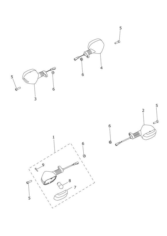 Diagram Indicators for your Triumph Tiger  