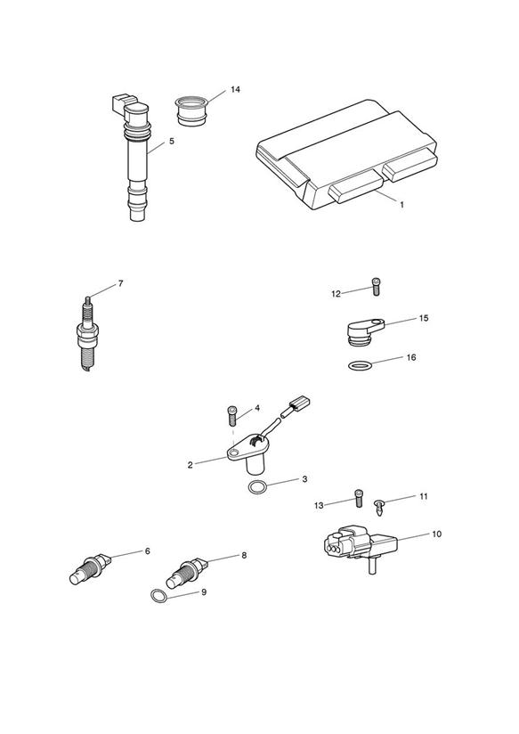 Diagram Engine Management System for your 2011 Triumph Speed Triple  141872 > 210444 