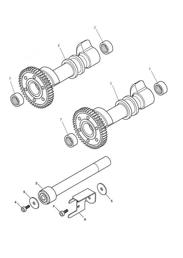 Diagram Balancer for your Triumph